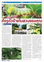 Phuket Newspaper - 03-11-2023 Page 6
