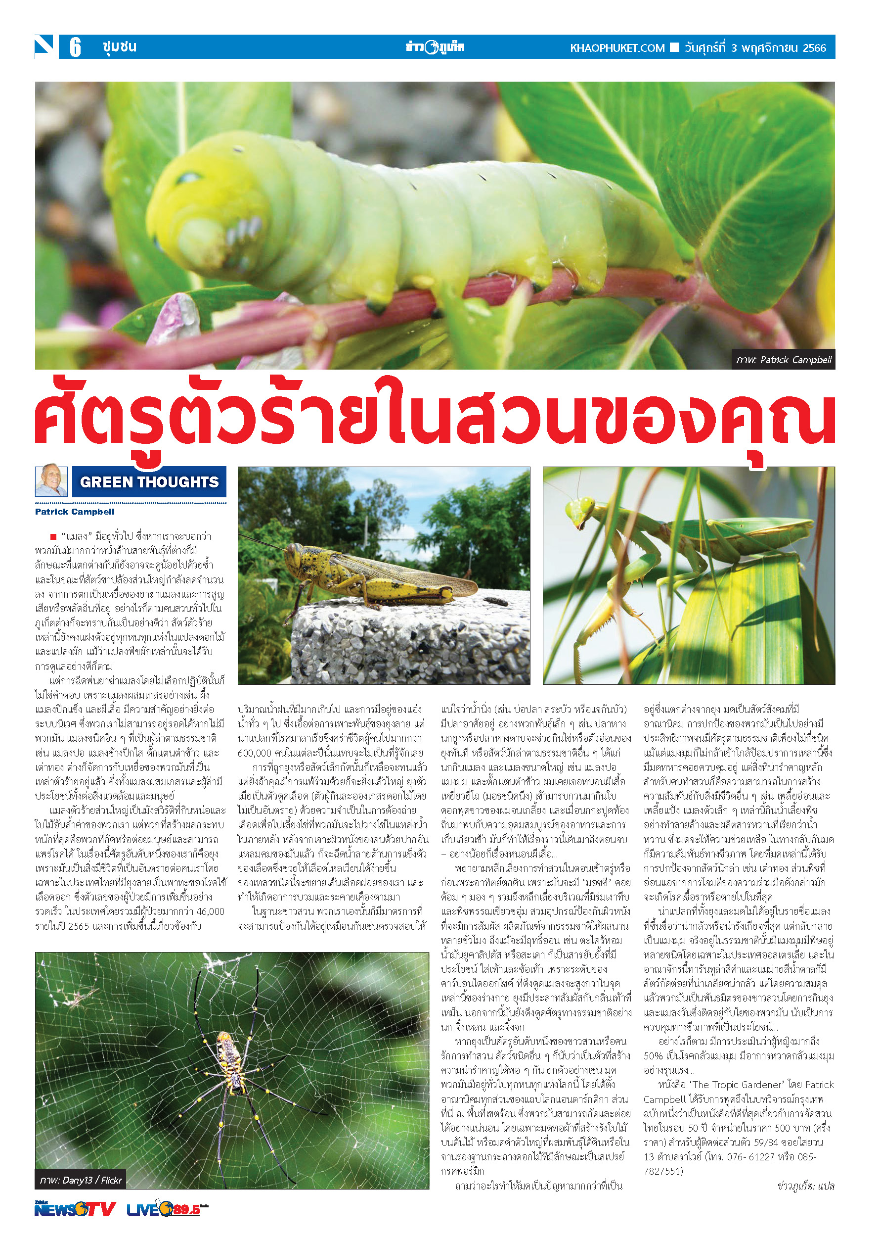 Phuket Newspaper - 03-11-2023 Page 6