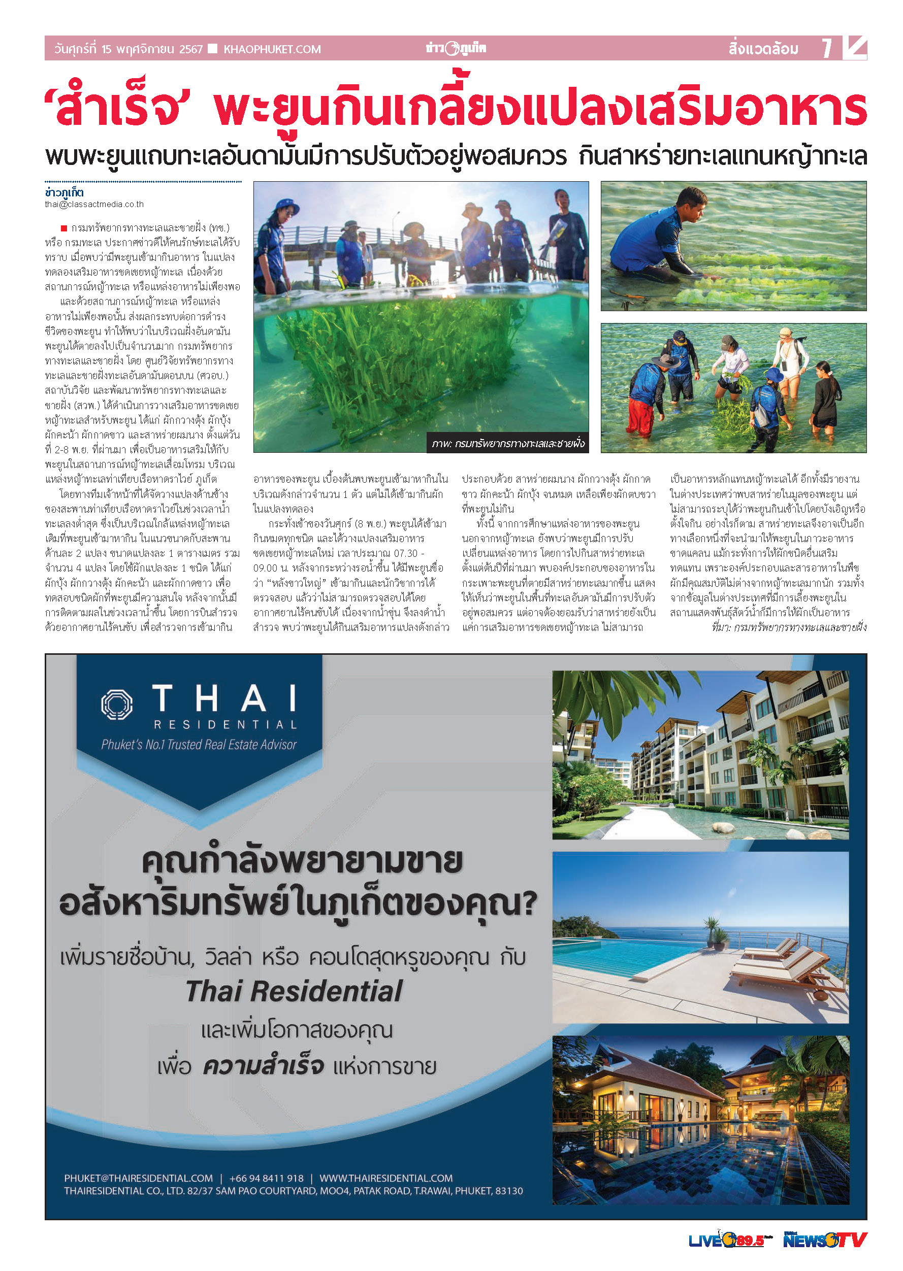 Phuket Newspaper - 15-11-2024 Page 7