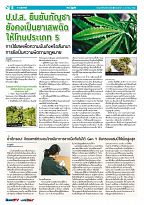 Phuket Newspaper - 04-01-2019 Page 6