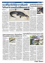 Phuket Newspaper - 08-09-2017 Page 3