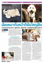 Phuket Newspaper - 24-05-2019 Page 6