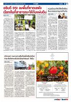 Phuket Newspaper - 24-11-2017 Page 5