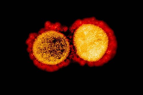 ทีมนักวิทยาศาสตร์คิดค้นยารักษา Covid-19 ตัวใหม่ฆ่าไวรัสได้ 99.9% ใช้ได้กับทุกสายพันธุ์ ภาพ Handout / National Institute of Allergy and Infectious Diseases / AFP