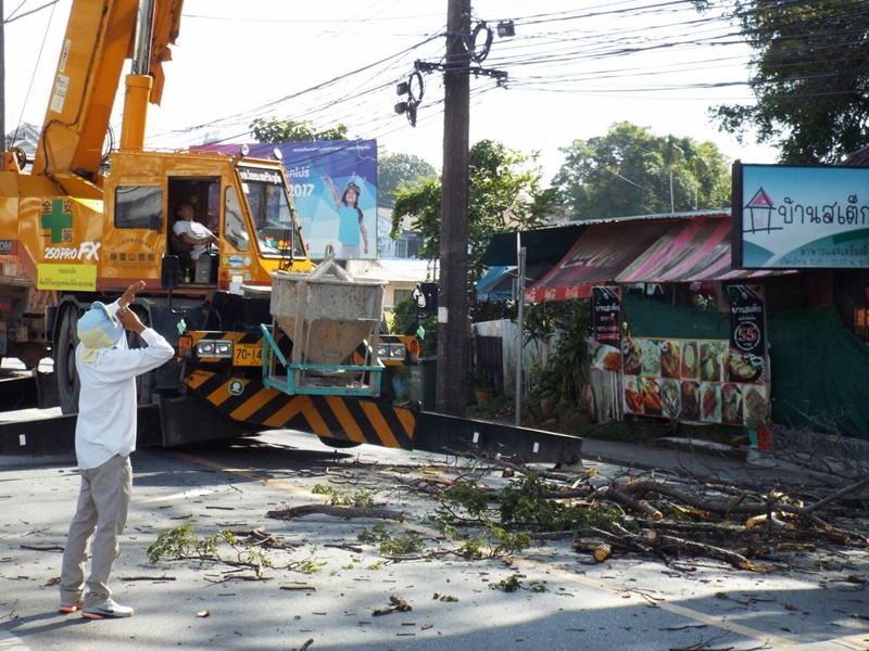 แจ้งเตือนตัดกิ่งไม้บริเวณหน้าโรงเรียนสตรีภูเก็ต ภาพ เอกภพ ทองทับ