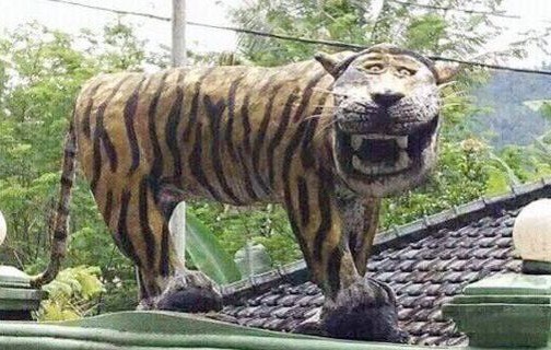 ไม่ตลก กองทัพอินโดทุบรูปปั้นเสือทิ้ง หลังโดนล้อเสือไม่น่ากลัวพอ