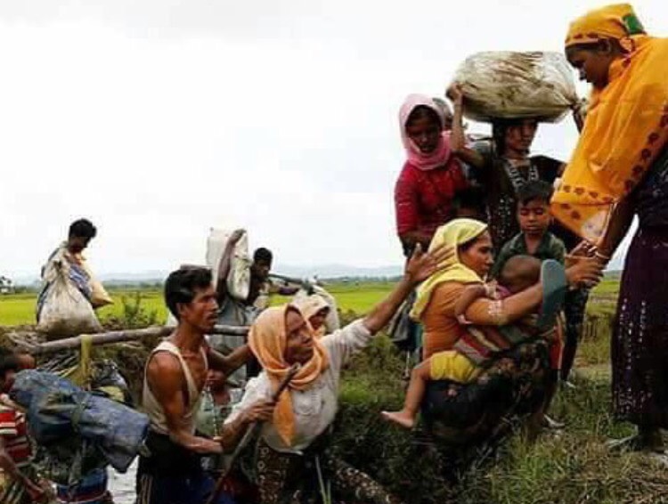 ภาพ อินสตาแกรม Rohingya