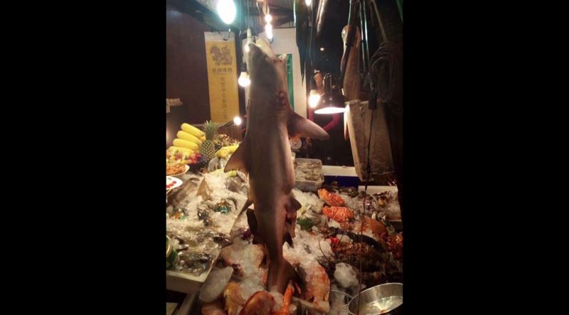 เจ้าของร้านอาหารดังหาดกะรนขอโทษสังคมหลังโซเชียลแชร์ภาพฉลามเสือดาว รับเป็นภาพเก่า