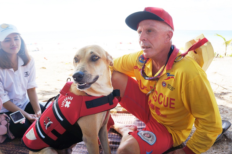 “ลัคกี้” ผู้ช่วย ไลฟ์การ์ดหาดสุรินทร์ จากหมาข้างถนนสู่ความรับผิดชอบอันใหญ่ยิ่ง