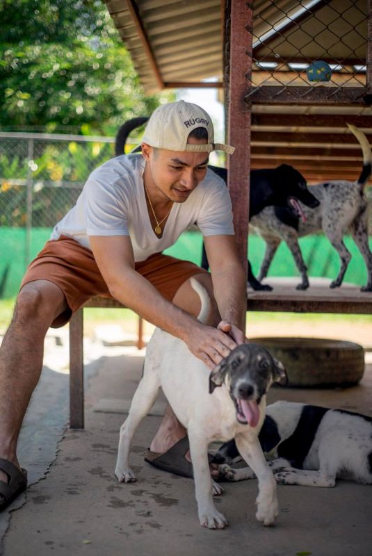 ภาพ มูลนิธิเพื่อสุนัขในซอย