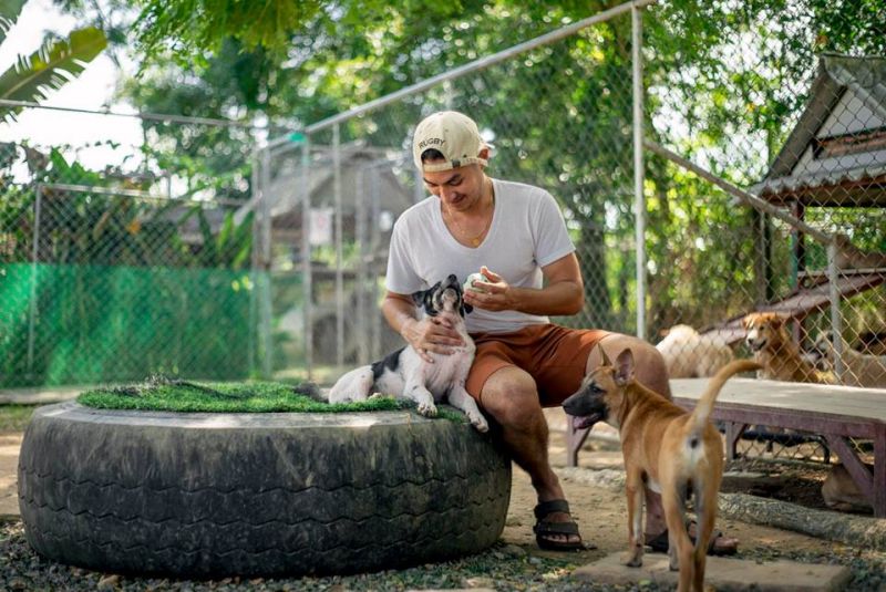 ภาพ มูลนิธิเพื่อสุนัขในซอย