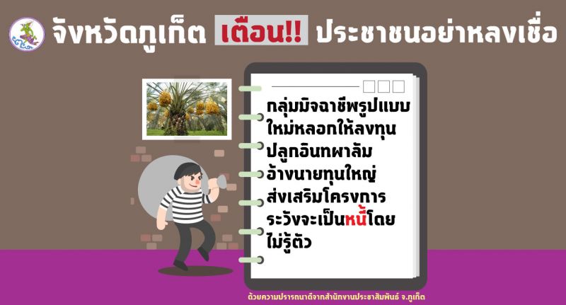 จังหวัดภูเก็ตเตือนเกษตรกร อย่าหลงเชื่อกลุ่มมิจฉาชีพหลอกให้ปลูกอินทผาลัม