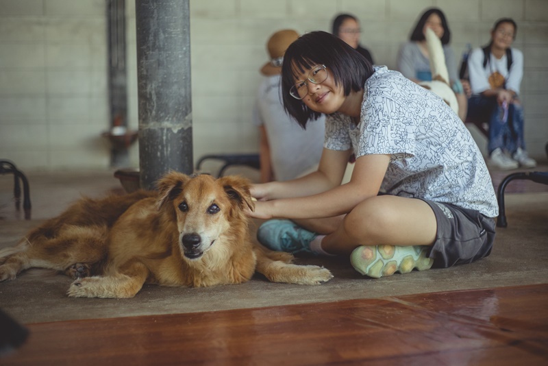 ภาพ มูลนิธิเพื่อสุนัขในซอย