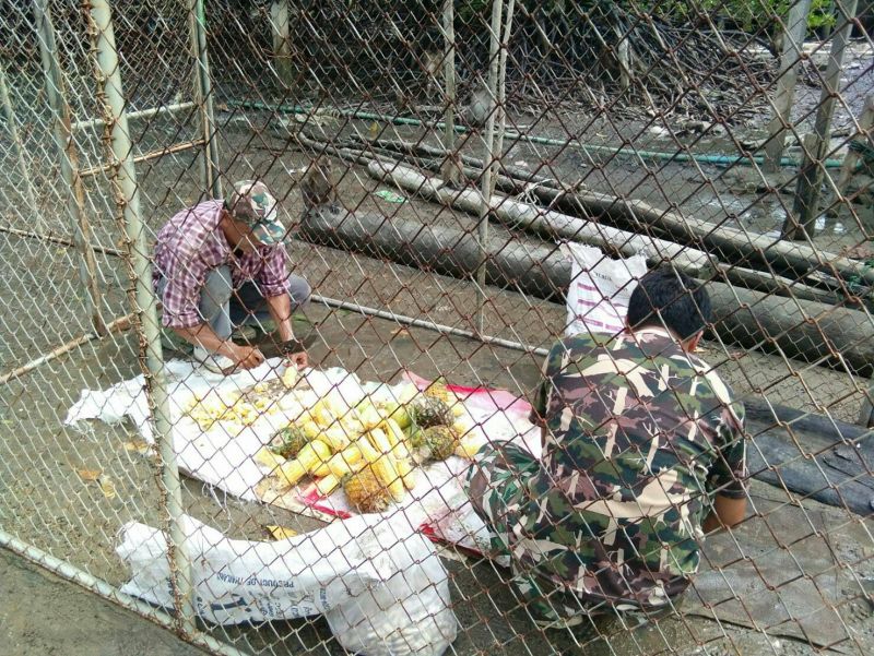 ภาพ ประชาสัมพันธ์จังหวัดภูเก็ต