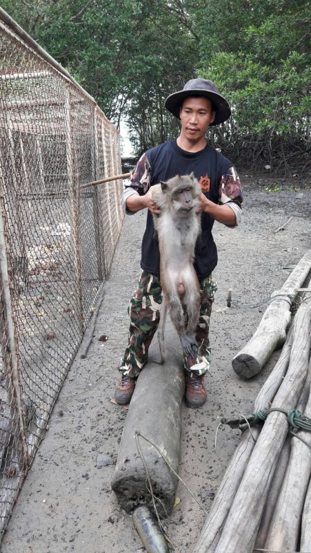 ภาพ ประชาสัมพันธ์จังหวัดภูเก็ต