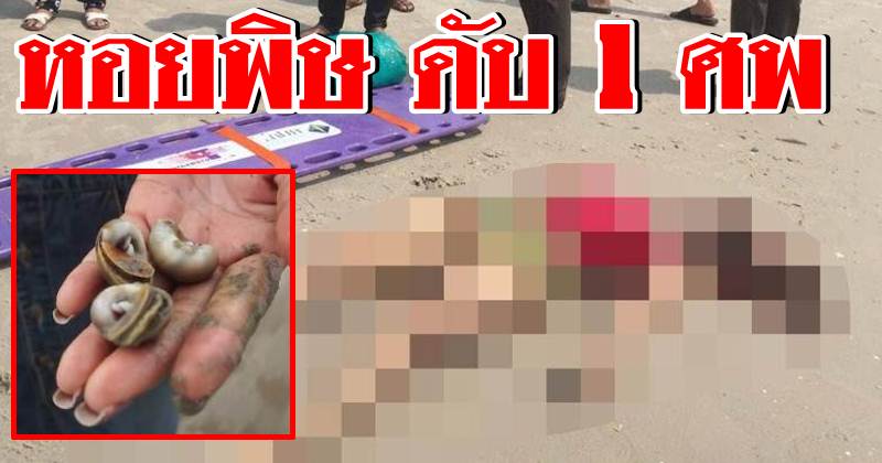 กรมประมงแจงข่าวลวง “หอยตาวัวฆ่าคน” ไม่มีจริง เตรียมดำเนินการทางกฎหมายเว็บไซต์และผู้เผยแพร่