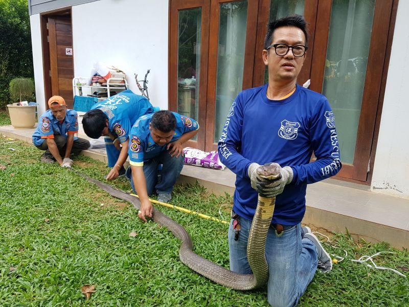 ภาพ มูลนิธิกระบี่พิทักษ์ประชา