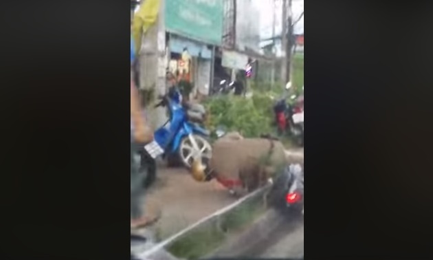 รองโฆษก ตร.เผยกำลังตรวจสอบนายตำรวจในเครื่องแบบภูเก็ต คล้ายเมาไม่สามารถควบคุมจยย.