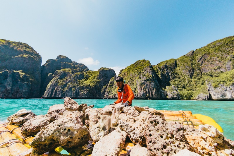 การฟื้นฟู แนวปะการังที่ดูเหมือนจะง่าย แต่มากด้วยประสิทธิภาพ / ภาพ: Juan Leonel