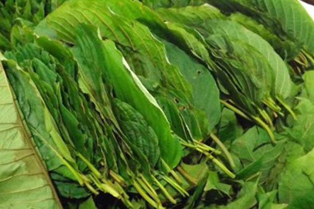 ครึ่งปีแรกภูเก็ตกระท่อมยังครองแชมป์ระบาดสูงสุด แรงงานต่างด้าวยุ่งเกี่ยวยาเสพติดมากขึ้น