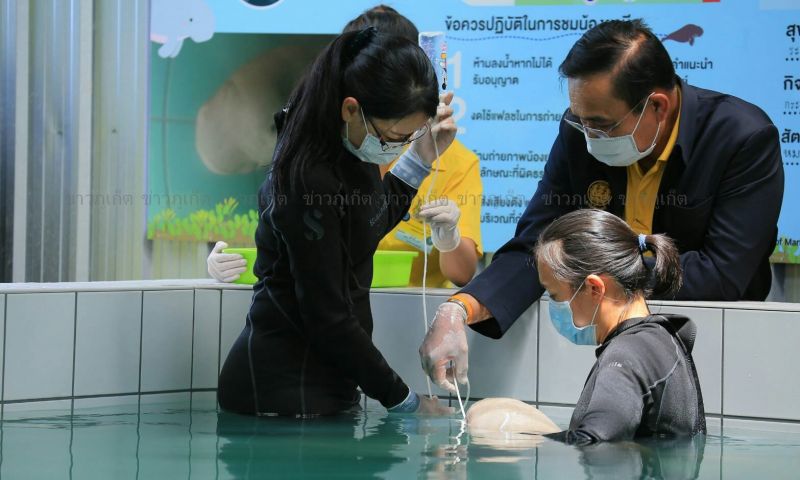 ‘ลุงตู่’ แวะเยี่ยมเจ้ายามีลน้อย ลูกพะยูนวัย 3 เดือน