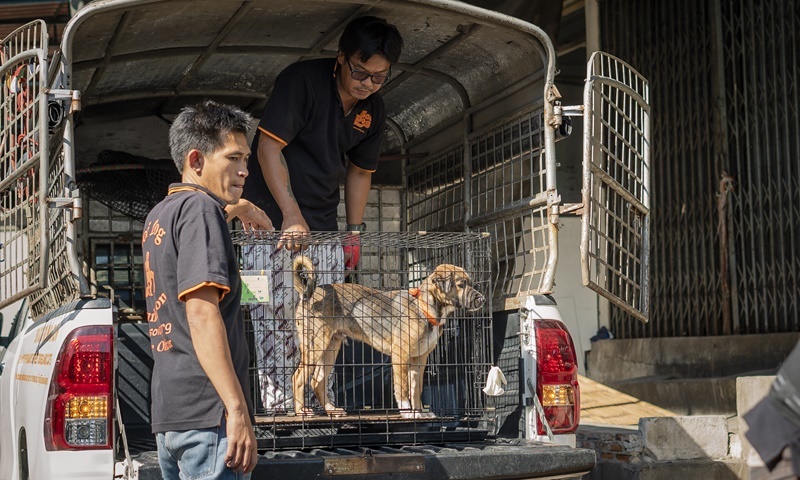 ภาพ มูลนิธิเพื่อสุนัขในซอย