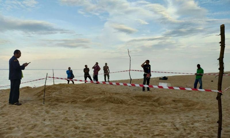 พบอีก! ร่องรอยเต่ามะเฟืองวางไข่หาดท้ายเหมือง จัดชุดเฝ้าระวังไข่เต่า