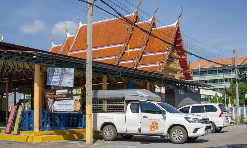 ภาพ มูลนิธิเพื่อสุนัขในซอย