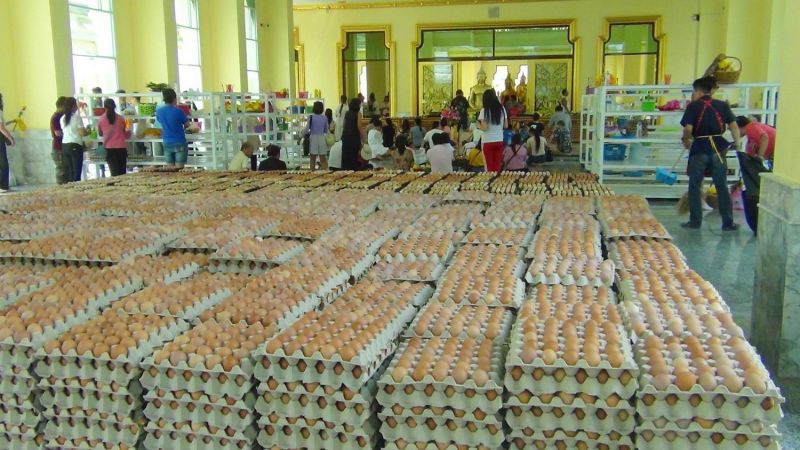 คนจีนขนไข่ไก่ 2 แสนขอหลวงพ่อโสธรปัดเป่าไวรัส COVD-19 พ้นแผ่นดินใหญ่