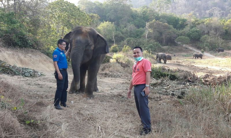 เยี่ยม ‘พังน้ำฝน’ ช้างของกลาง คดียังไม่สิ้นสุด สุขภาพทั่วไปแข็งแรงดี