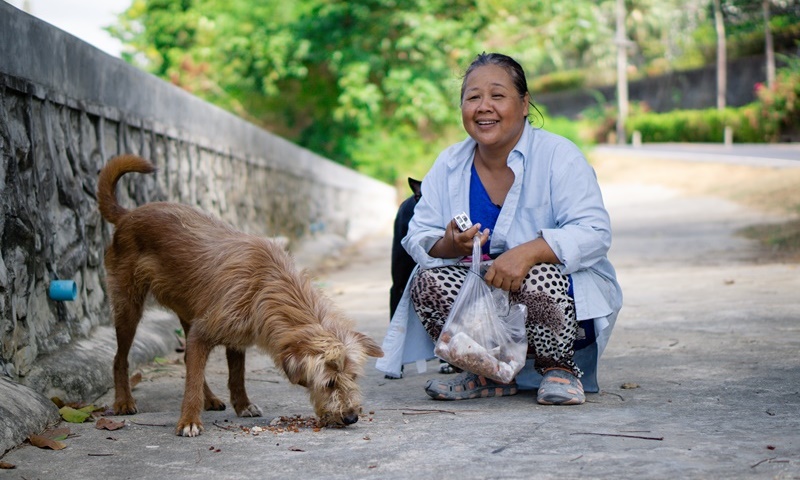 มูลนิธิซอยด๊อก วอนสังคมเมตตาต่อสัตว์จรจัดในช่วงโควิด-19