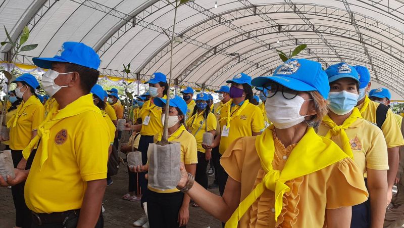 พ่อเมืองภูเก็ต อธิบดีทช.นำปลูกป่าเฉลิมพระเกียรติ ณ ป่าชายเลน สะพานหิน