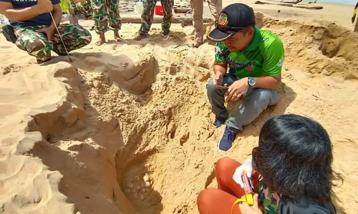 พบอีกไข่เต่ามะเฟืองที่หาดท้ายเหมือง รังที่ 3 นอกฤดูวางไข่