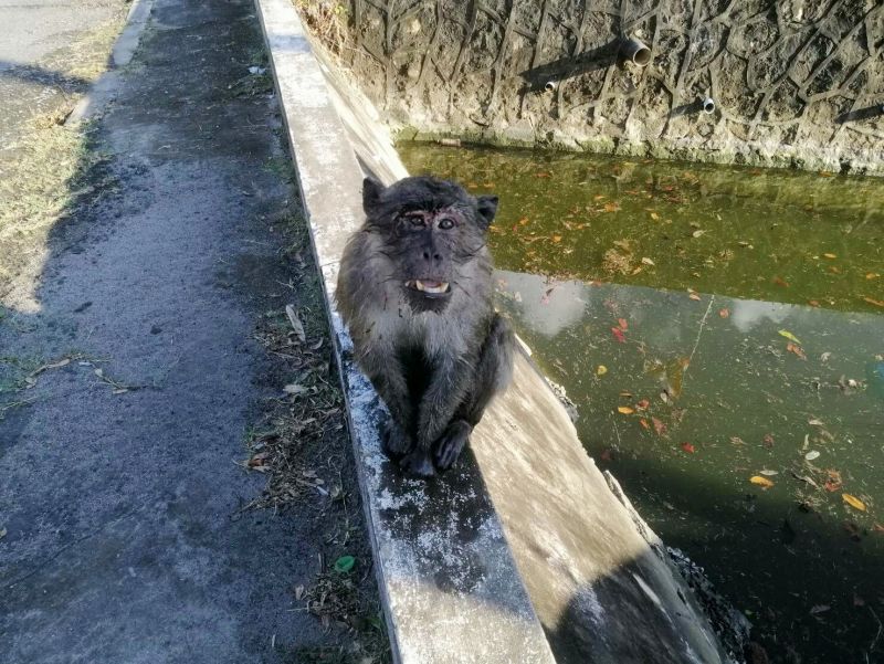 ภาพ ศูนย์ศึกษาธรรมชาติและสัตว์ป่าเขาพระแทว