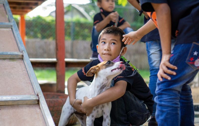 ภาพ มูลนิธิเพื่อสุนัขในซอย