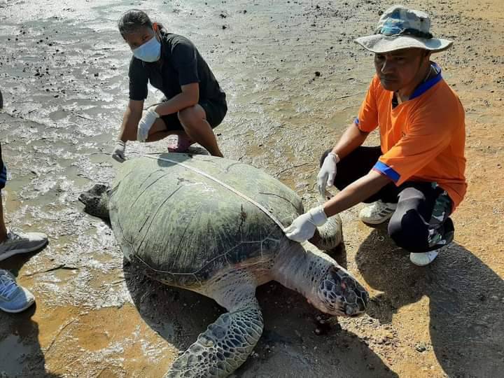 ภาพ ศูนย์ปฏิบัติการอุทยานฯ ทางทะเล จังหวัดภูเก็ต