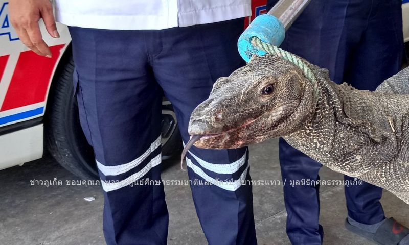 ภาพ ศูนย์ศึกษาธรรมชาติและสัตว์ป่าเขาพระแทว