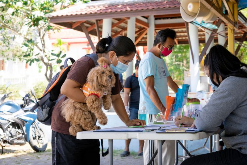 ภาพ มูลนิธิเพื่อสุนัขในซอย