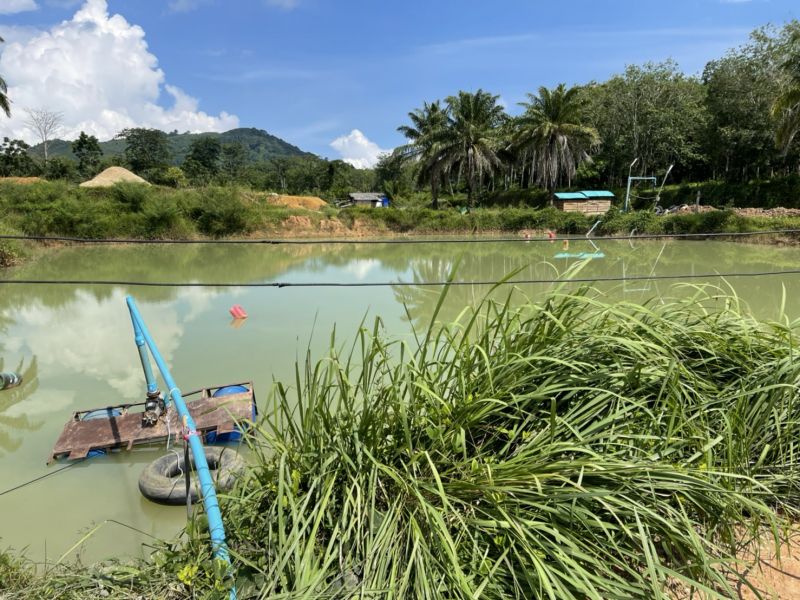 คนงานชาวพม่าปลูกต้นทุเรียน พลัดตกขุมน้ำดับปริศนา