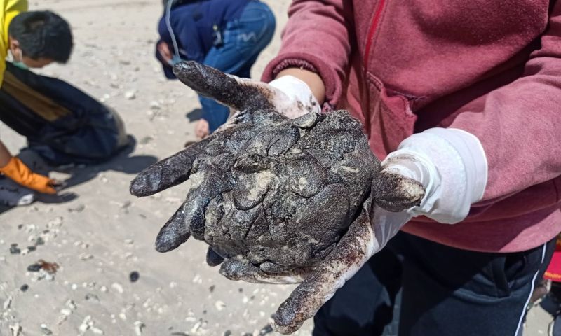 ชาวประมงชายฝั่งภูเก็ต พบคราบน้ำมันลอยเกลื่อนเต็มริมชายหาด อุทยานแห่งชาติสิรินาถ