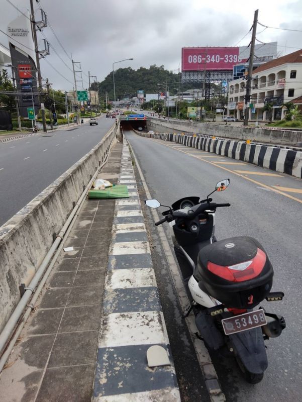 ภาพ มูลนิธิเพื่อสุนัขในซอย