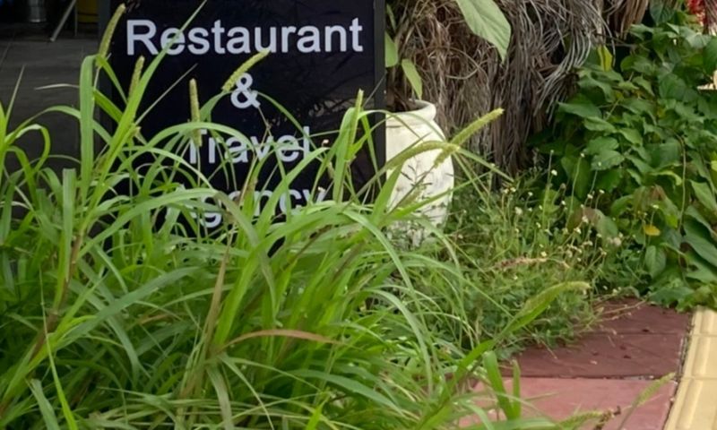 ร้านอาหารและบริการทัวร์ท่องเที่ยวในพื้นที่ป่าตองปิดกิจการ มีหญ้าขึ้นเต็มบริเวณหน้าร้าน ภาพ: จุฑารัตน์ เปลรินทร์