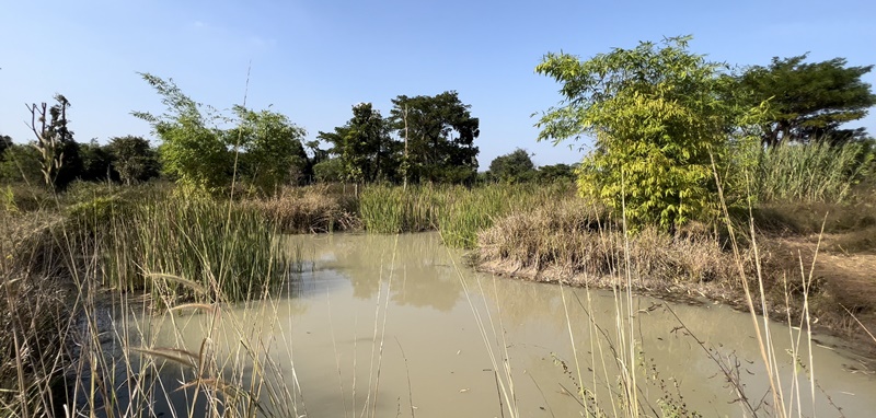 บ้านใหม่ในจังหวัดเพชรบุรี ภาพ: Edwin Wiek / WFFT