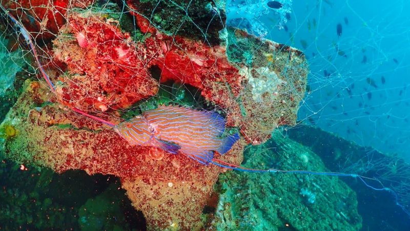 นักดำน้ำพบซากอวนติดแนวปะการังจุดเรือจม ครั้งที่สองในรอบเดือน ทรภ.3 วางแผนกู้วันนี้