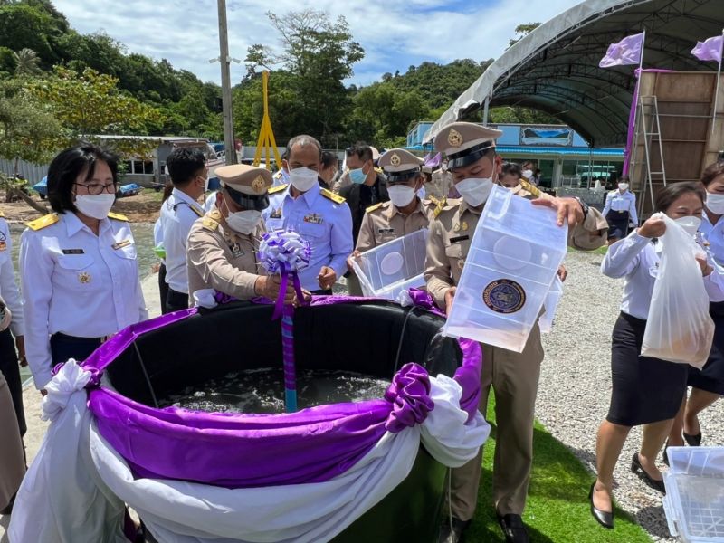 ภาพ สำนักงานประชาสัมพันธ์จังหวัดภูเก็ต