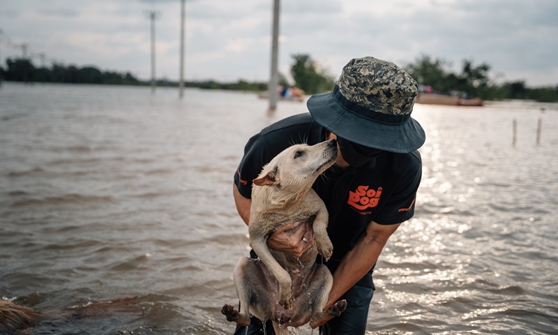 ภาพ มูลนิธิเพื่อสุนัขในซอย