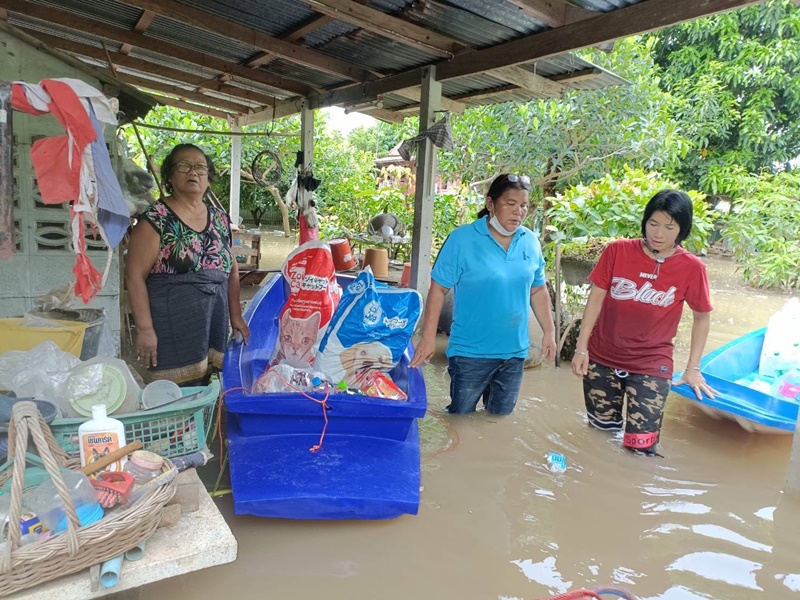 ภาพ มูลนิธิเพื่อสุนัขในซอย