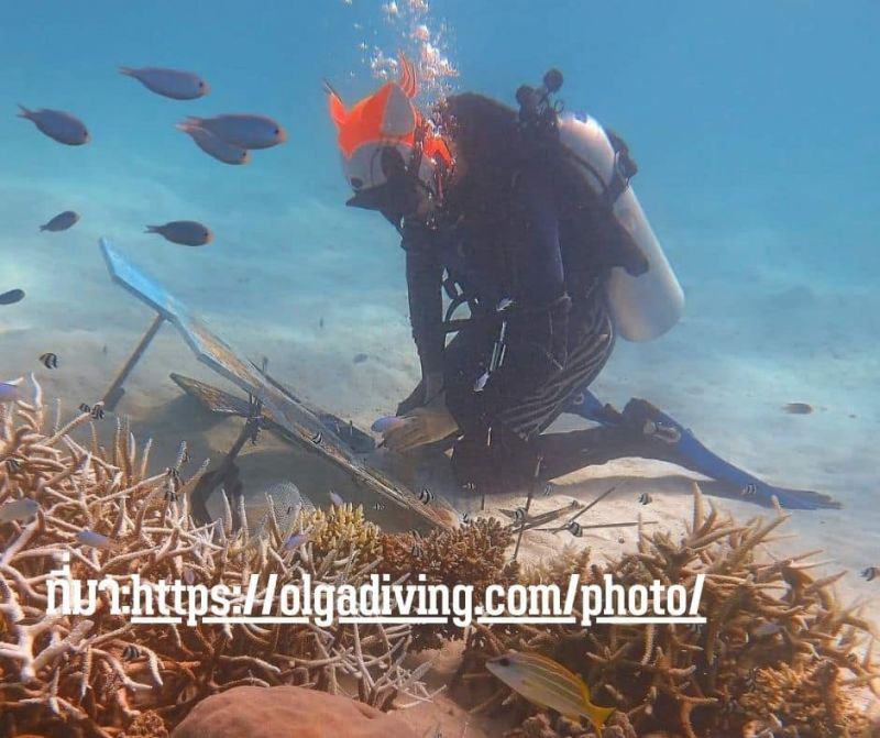 ภาพ สำนักงานประชาสัมพันธ์จังหวัดภูเก็ต