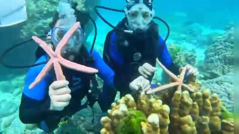 บริษัททัวร์จีนขอโทษ นทท.ยกปลาดาวขึ้นถ่ายรูปปีนป่ายปะการังเกาะราชา แจงเพิ่งออกทริปแรก