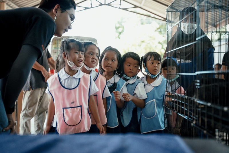 ภาพ มูลนิธิเพื่อสุนัขในซอย